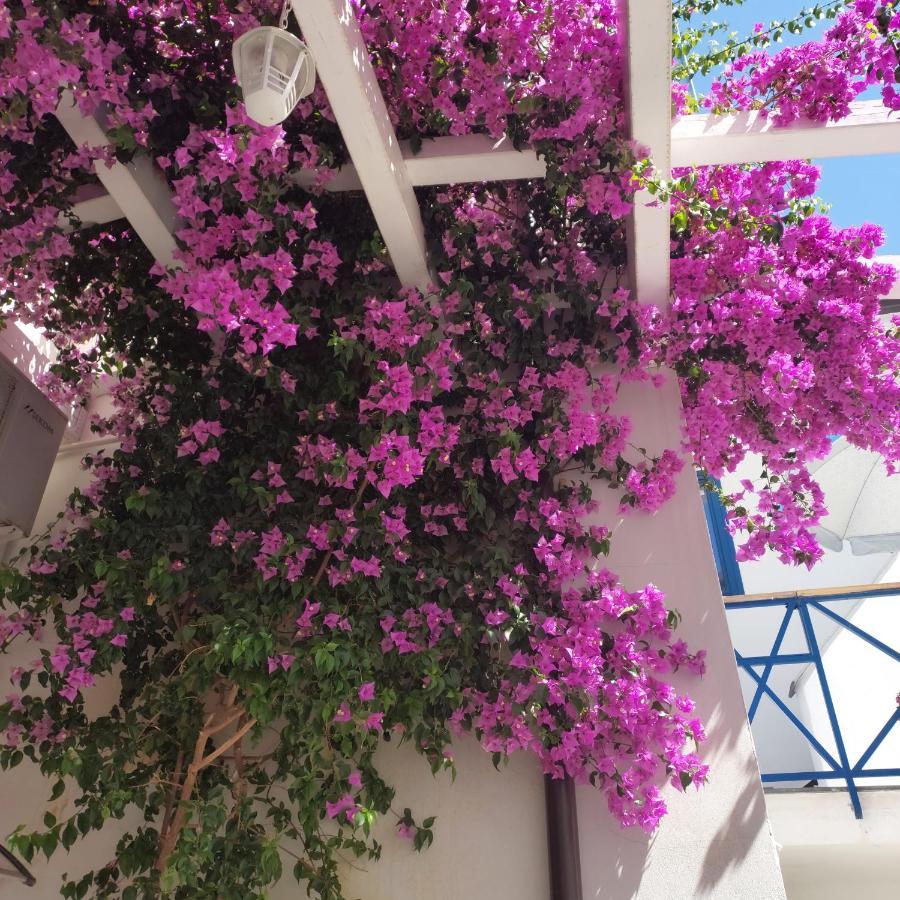 B&B Sognando Vietri E Spa Esclusiva 아베르사 외부 사진